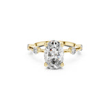 Avyelle Moissanite Diamond Ring for Her