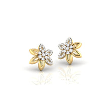 Load image into Gallery viewer, Nash Earrings