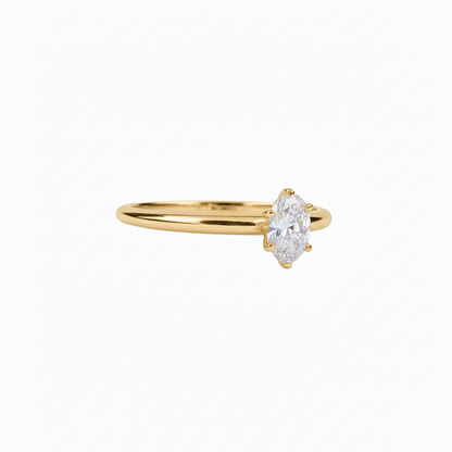 Charu Silver Ring for Women