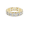 Viona Modern Eternity Full Band Moissanite Diamond Ring for Her