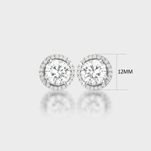 Load image into Gallery viewer, Sonnet Earring MOISSANITE