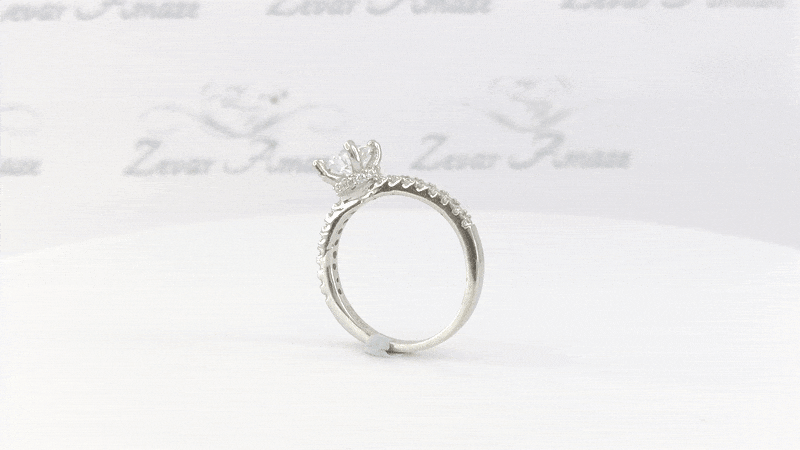 Zevar Amaze Silver Ring Video 